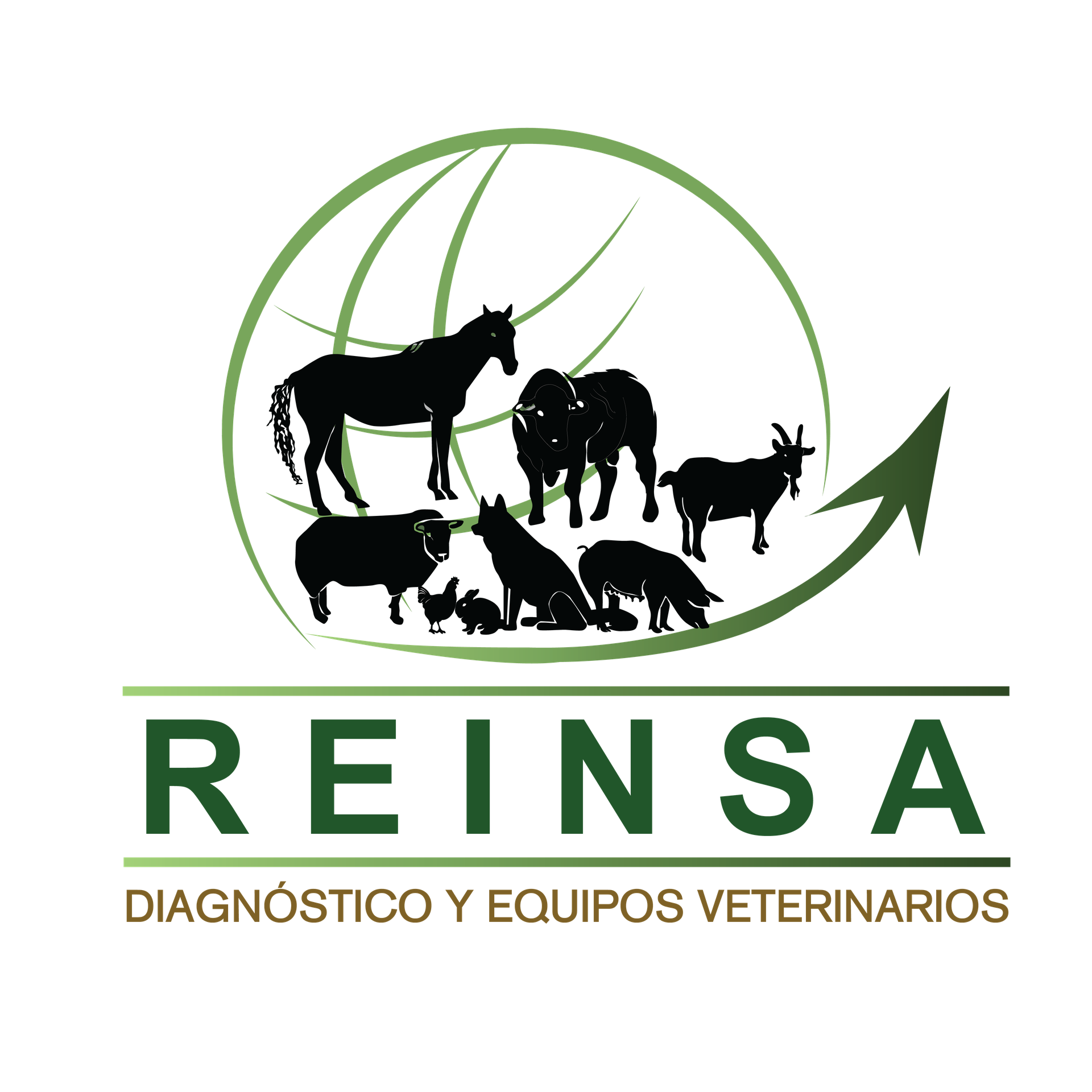 REPRESENTACIONES INTERNACIONALES Y NACIONALES SOCIEDAD ANONIMA