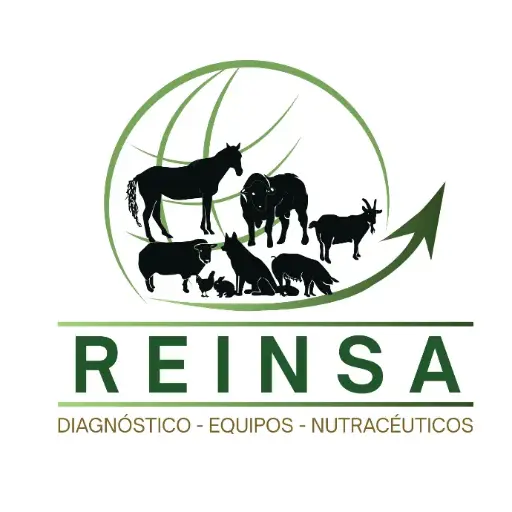 Cursos 2026